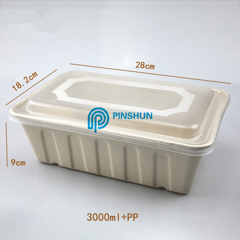 3000ml lunchware degradable disposable food container